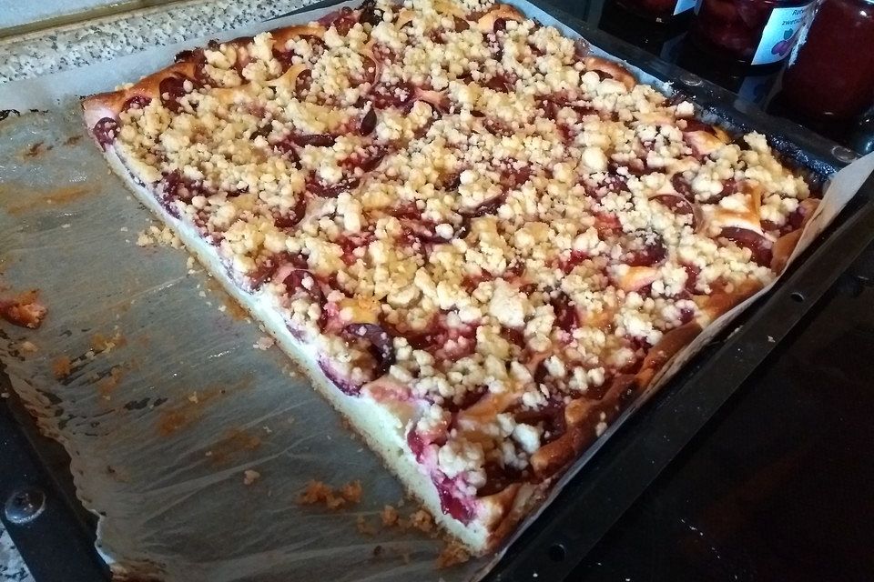 Zwetschgen - Streusel Topfenkuchen