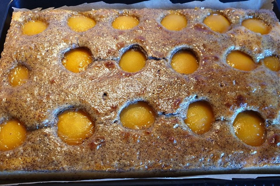 Pfirsich - Mohn Blechkuchen