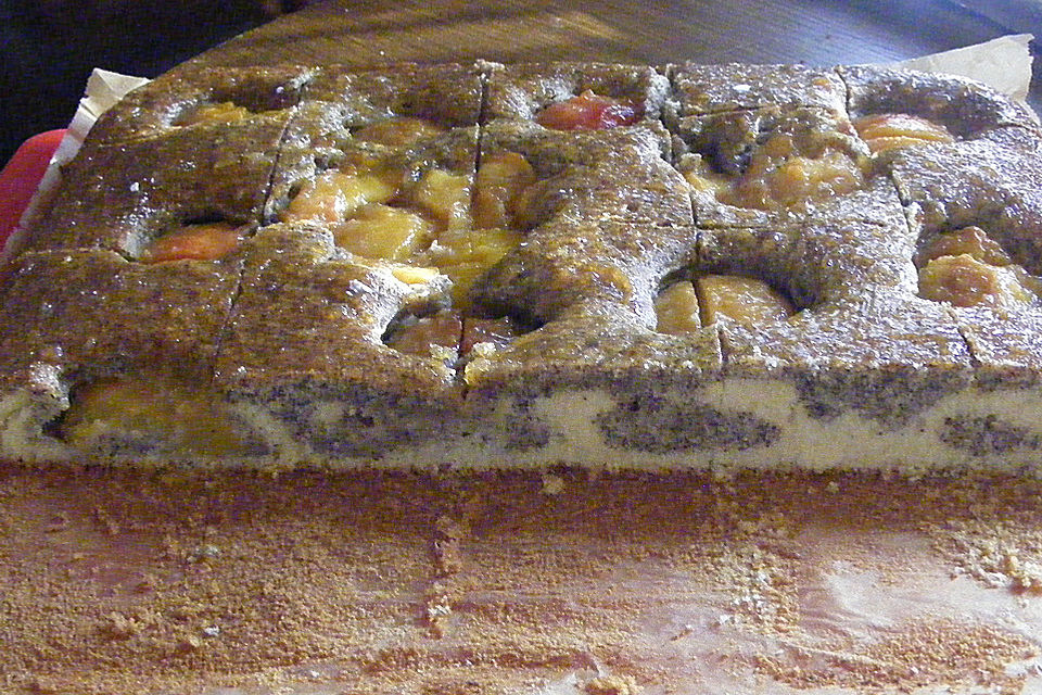 Pfirsich - Mohn Blechkuchen