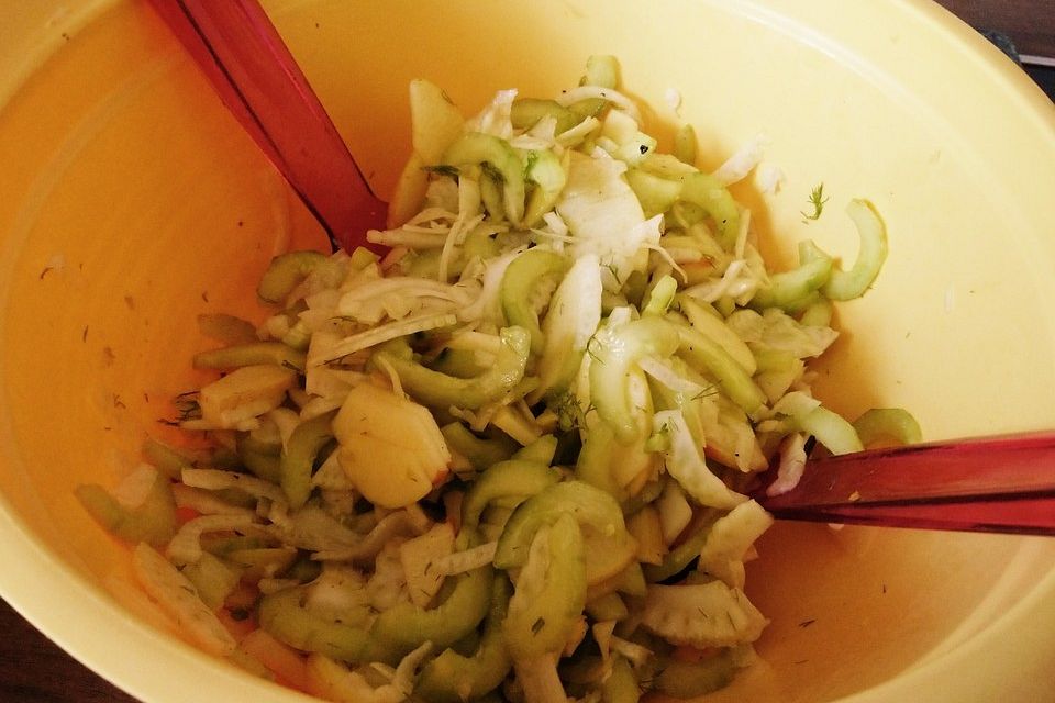 Fenchelsalat mit Apfel und Gurke