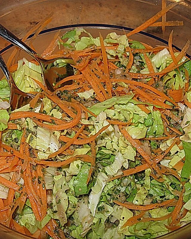 Zichorien - Karotten - Salat