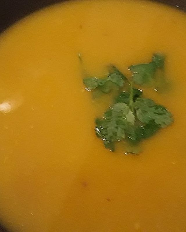 Kürbis - Zucchini - Suppe