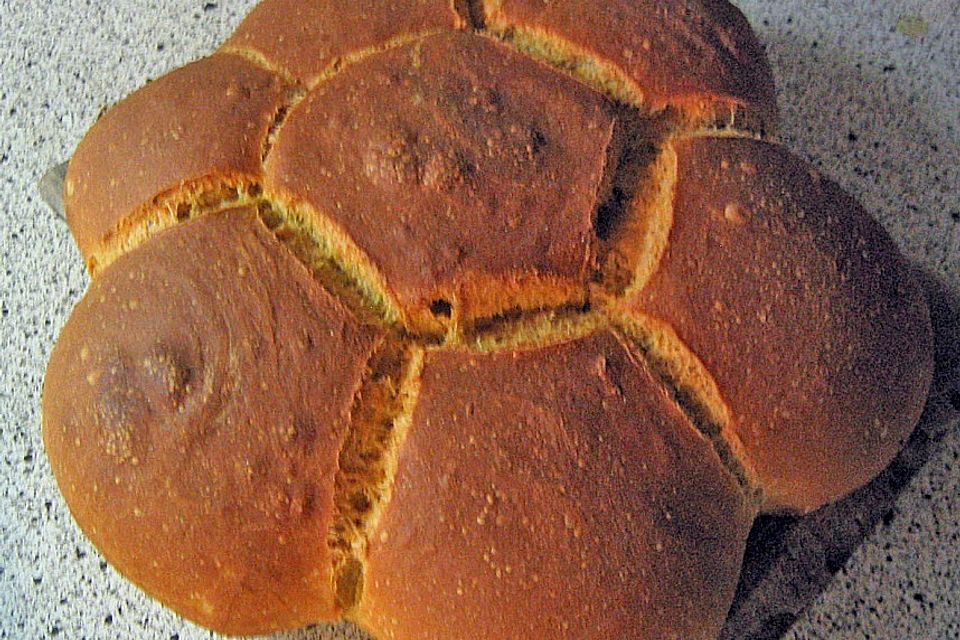Kürbisbrötchen Kürbisbrötchen