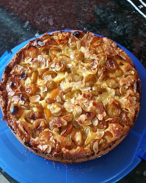 Mirabellenkuchen Rezepte | Chefkoch