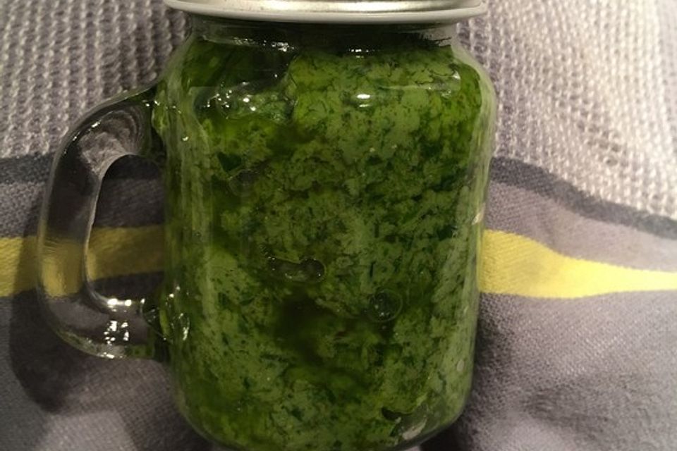 Walnuss - Bärlauch Pesto