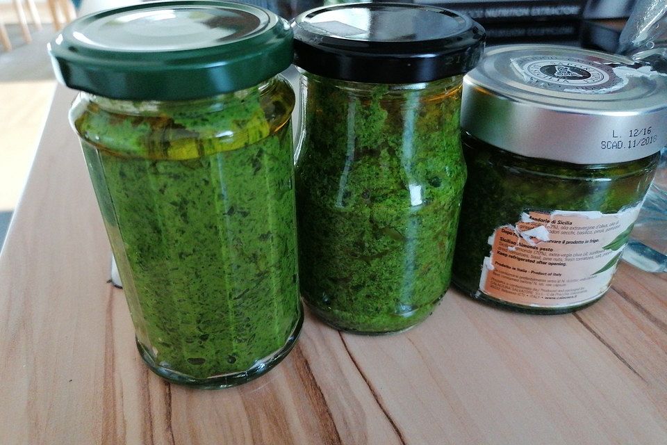 Walnuss - Bärlauch Pesto