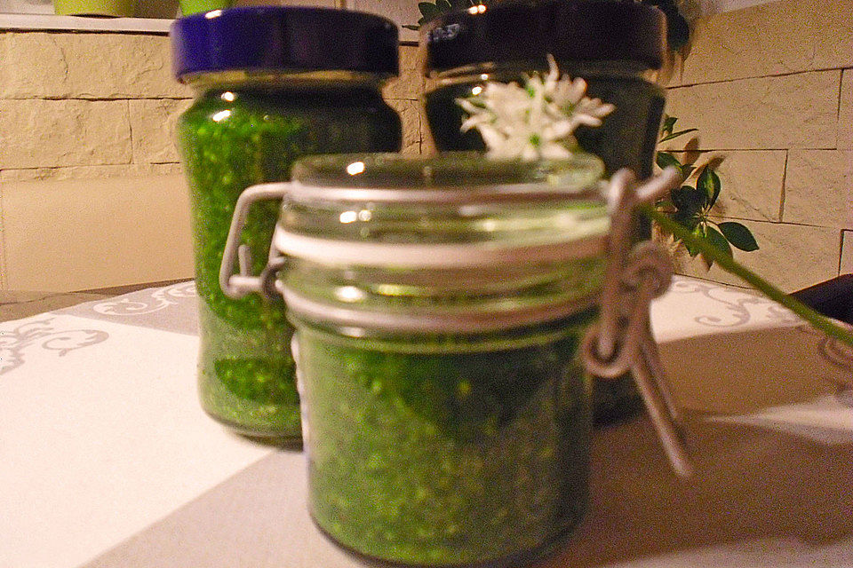 Walnuss - Bärlauch Pesto