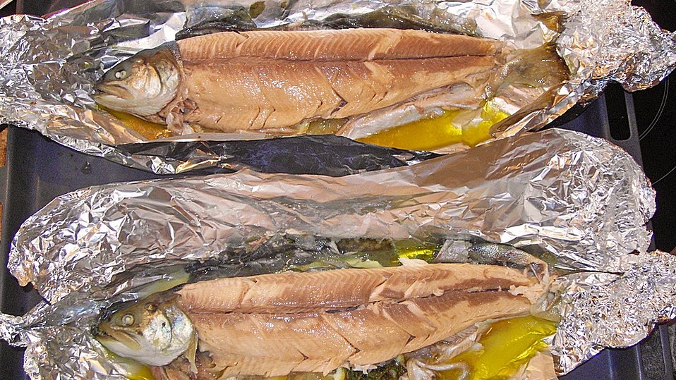 Saibling in der Folie von ronomu