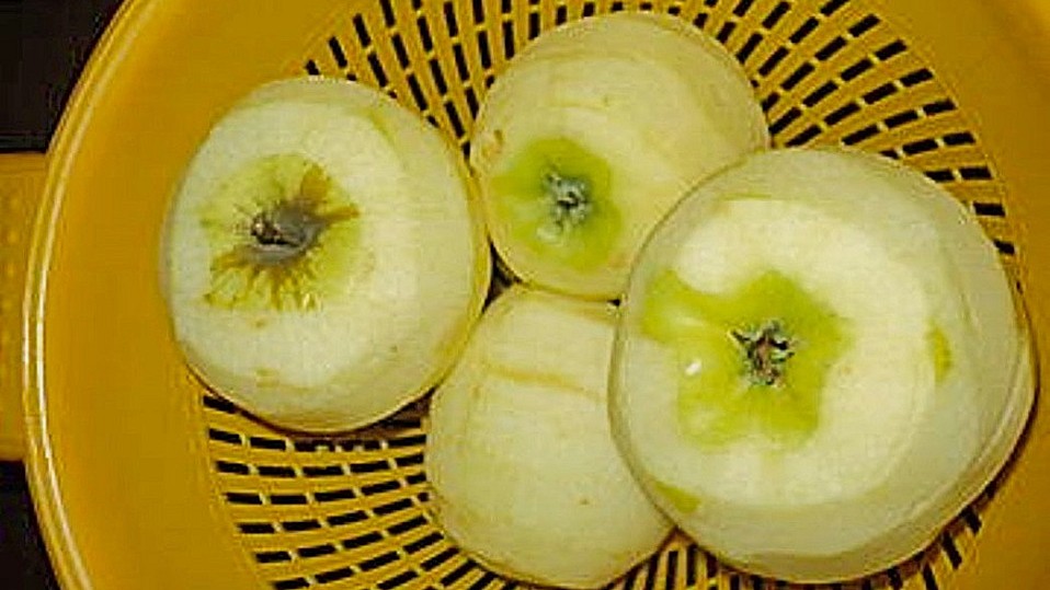 Siebenbürger Apfelkuchen von siebenbuerger-apfelkuchen