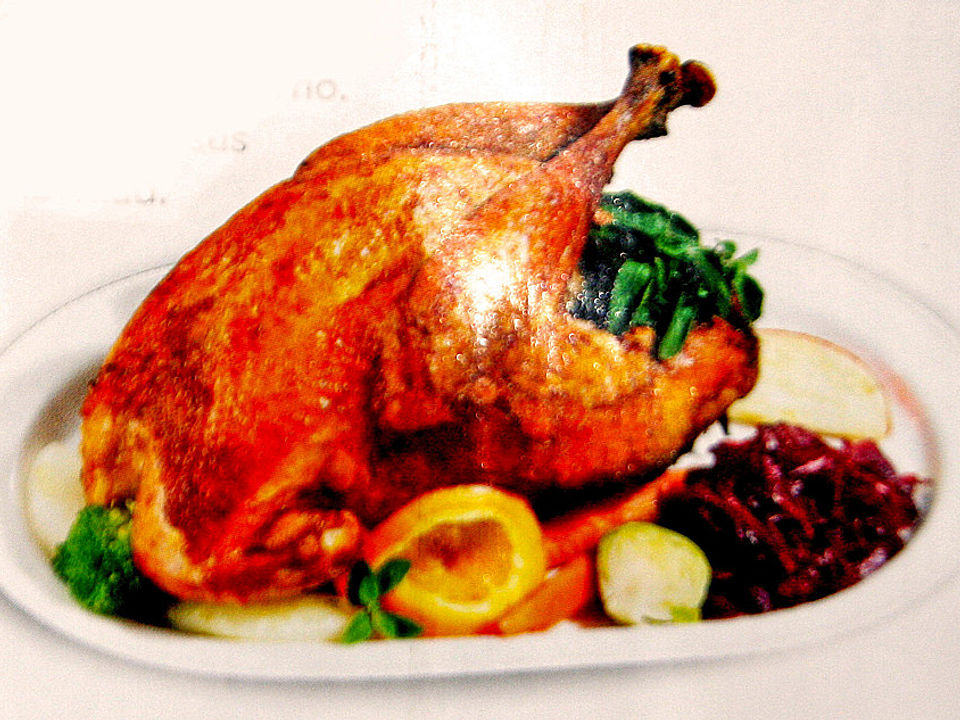 Geschmorte Gänsekeule auf indische Art von gs_pe| Chefkoch