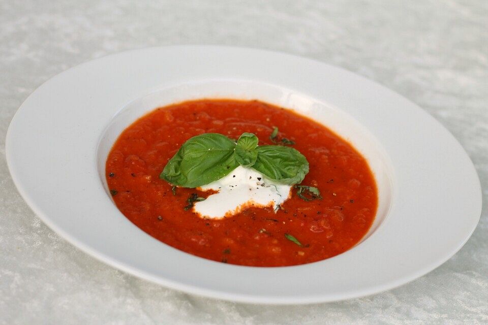 Tomatensuppe mit Basilikum - Sahne