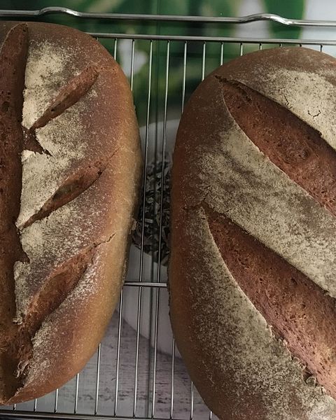 Hermann Rezepte | Chefkoch