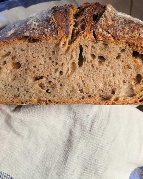 Mischbrot Rezepte | Chefkoch