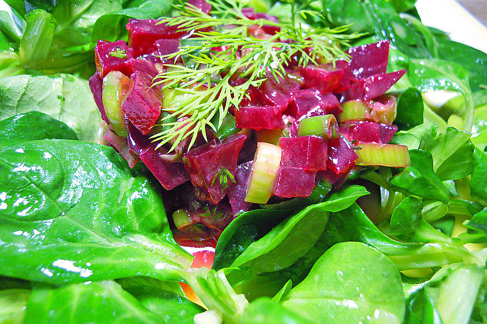 Tatar von Rote Bete mit Feldsalat