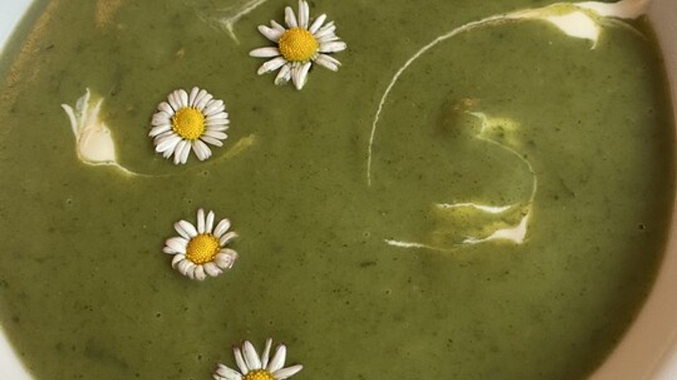 Brennnessel-Giersch Cremesuppe von elschen