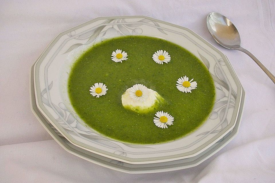 Brennnessel-Giersch Cremesuppe