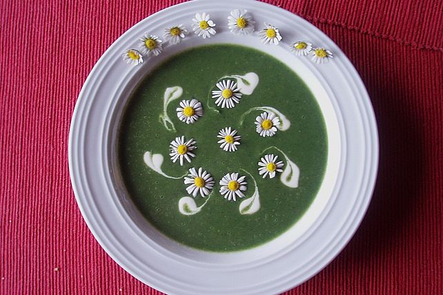 Brennnessel-Giersch Cremesuppe von elschen| Chefkoch