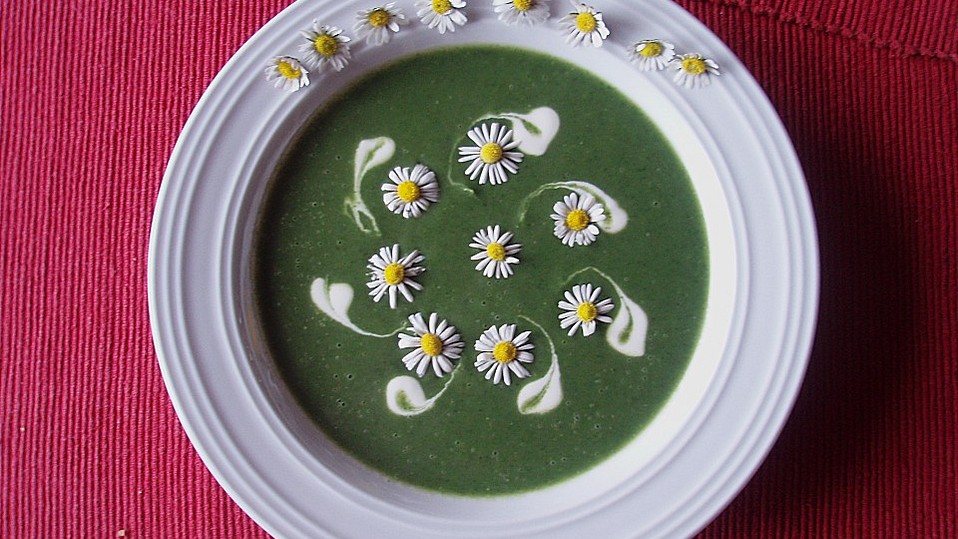 Brennnessel-Giersch Cremesuppe von elschen