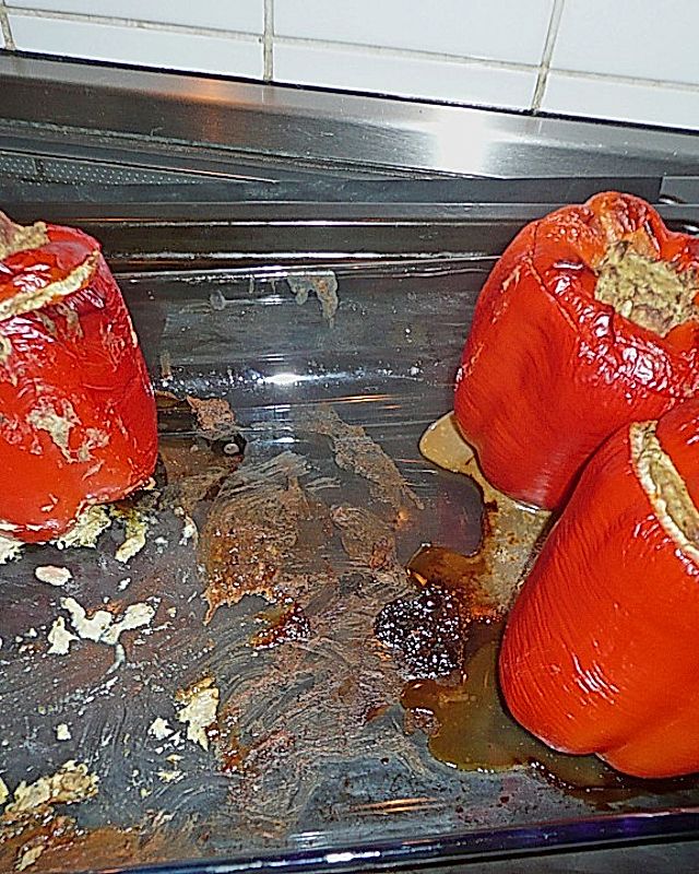 Paprika mit Thunfischcreme gefüllt