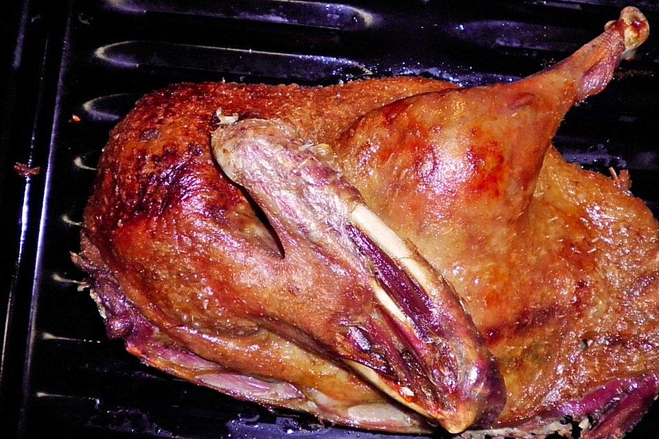 Entenbraten mit Gelinggarantie Entenbraten mit Gelinggarantie