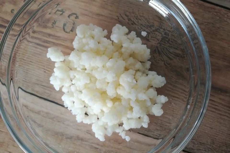 Milchkefir