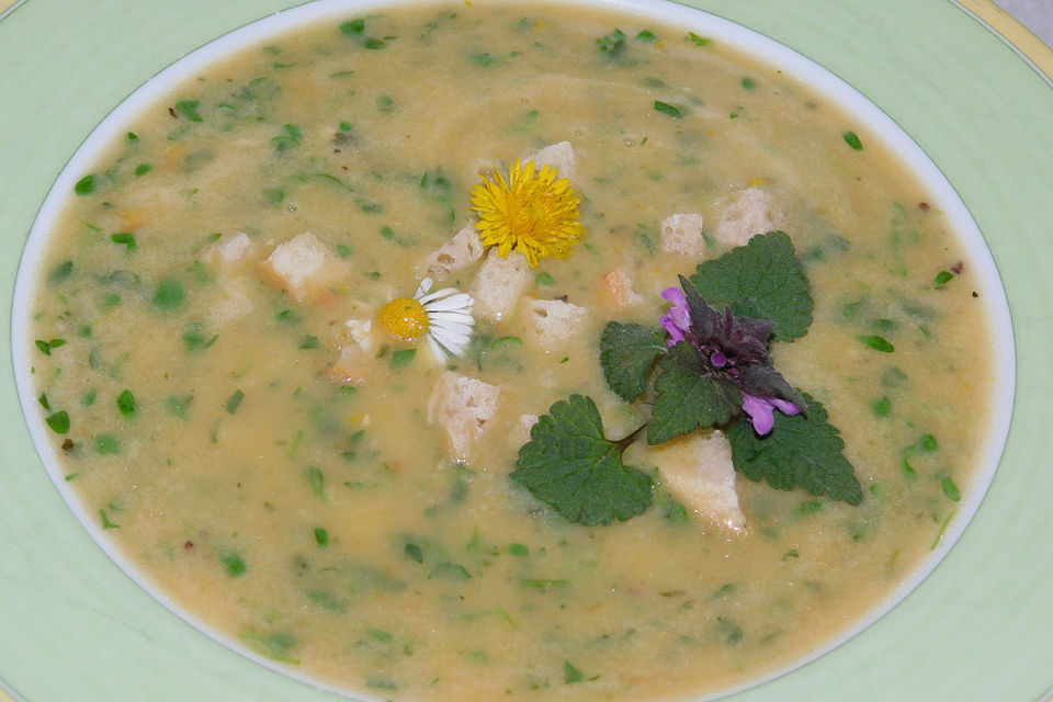 Gründonnerstagssuppe oder Neunkräutersuppe