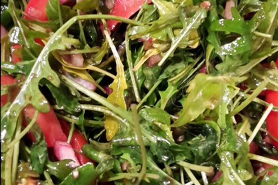 Tomaten - Rucola - Salat