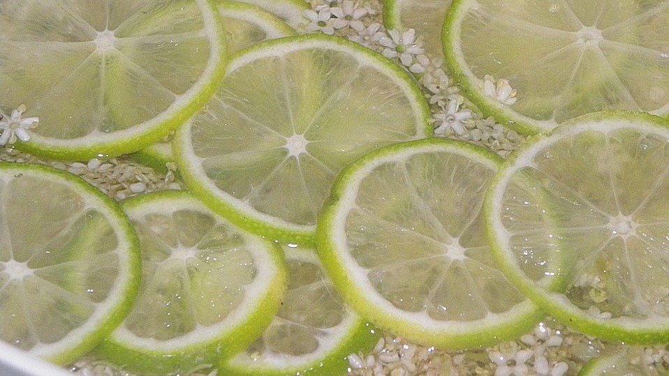Holunderblüten - Bowle mit Erdbeeren von Merceile
