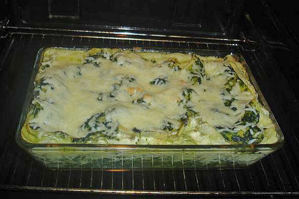 Lachs - Lasagne