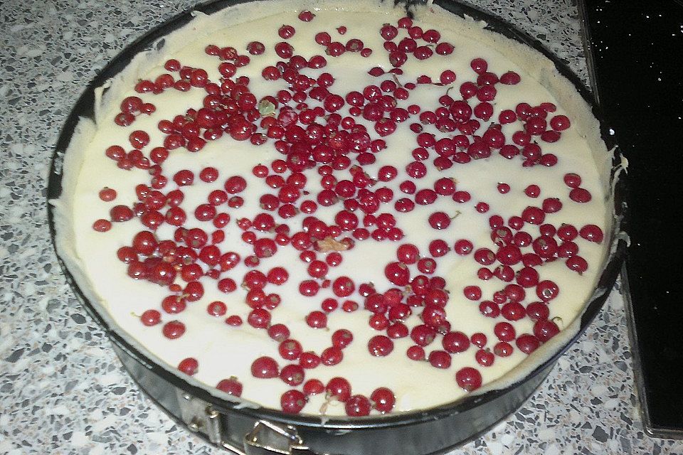 Joghurt - Käsekuchen mit Johannisbeeren