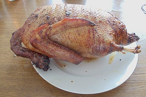 Honigente von honey_daniels86 | Chefkoch