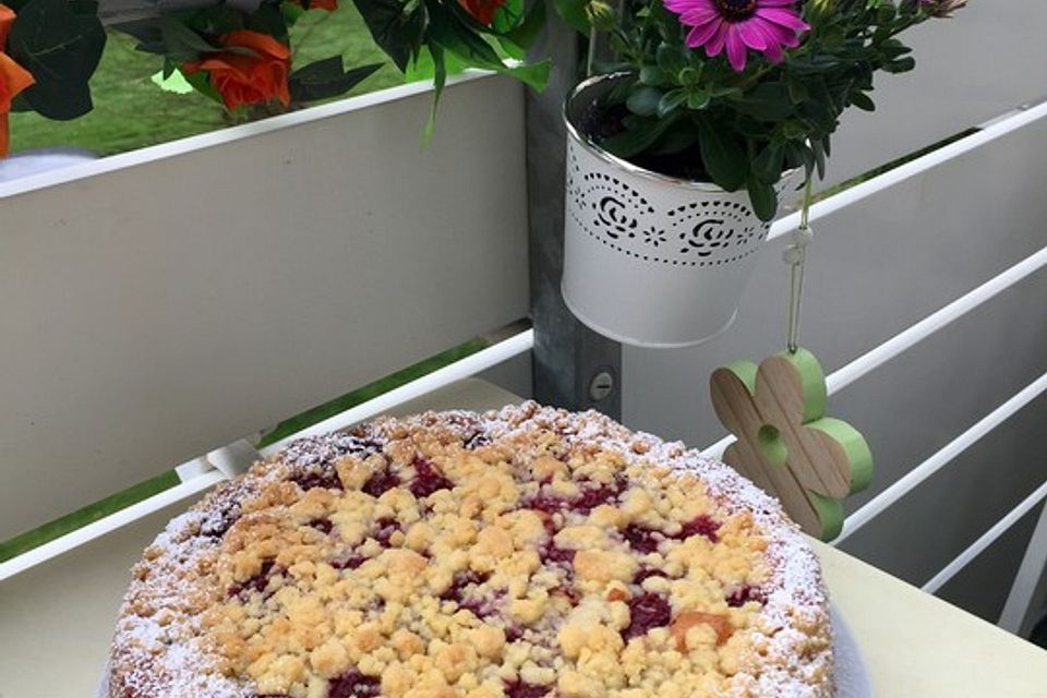 Ribisel-Topfen Kuchen mit Streuseln