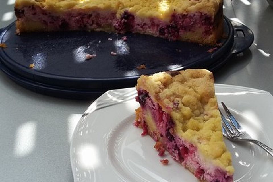 Ribisel-Topfen Kuchen mit Streuseln