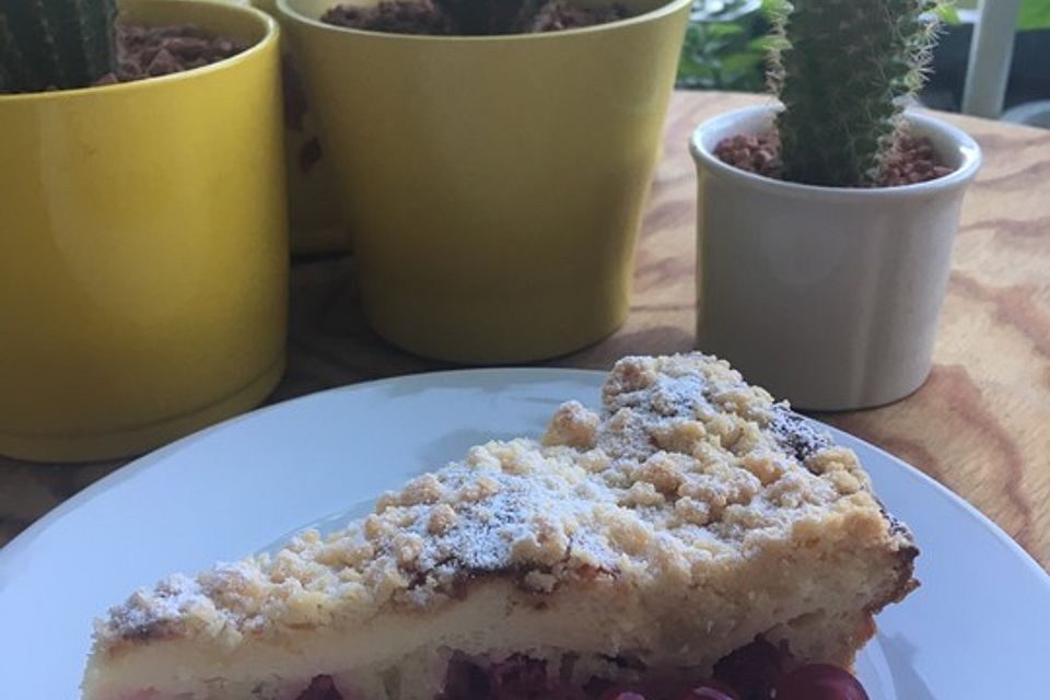 Ribisel-Topfen Kuchen mit Streuseln