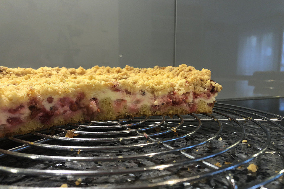 Ribisel-Topfen Kuchen mit Streuseln