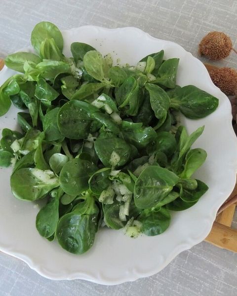 Zwiebelsalat Rezepte | Chefkoch