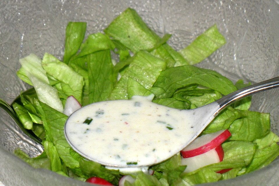 Buttermilch-Joghurt-Dressing