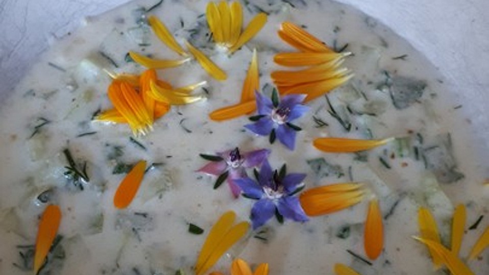 Kalte Suppe mit Joghurt und Gurke von 4040