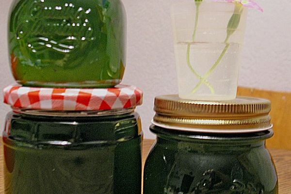 Pfefferminzgelee von Saeros | Chefkoch