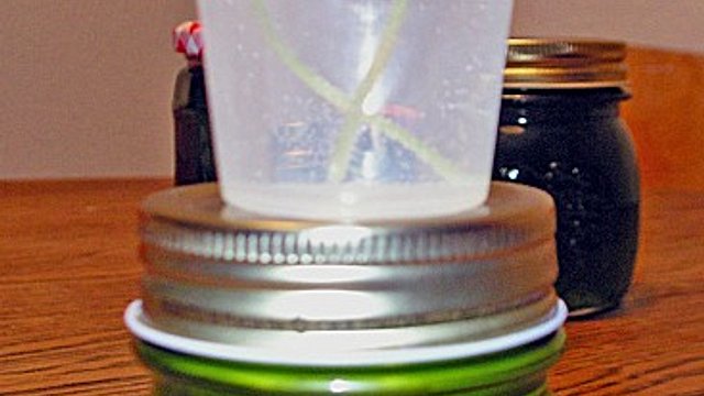 Pfefferminzgelee von Saeros