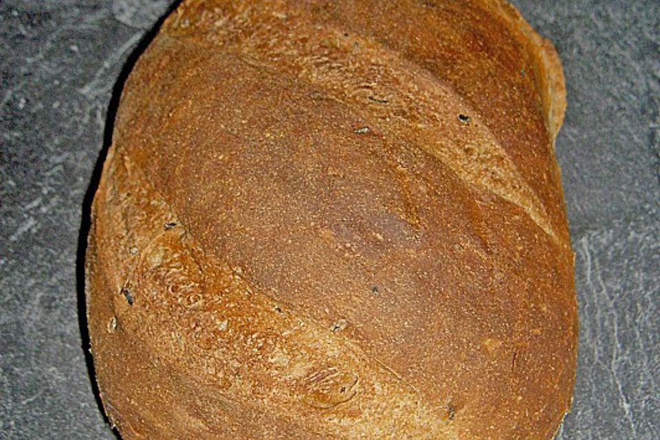 Algenbrot Algenbrot