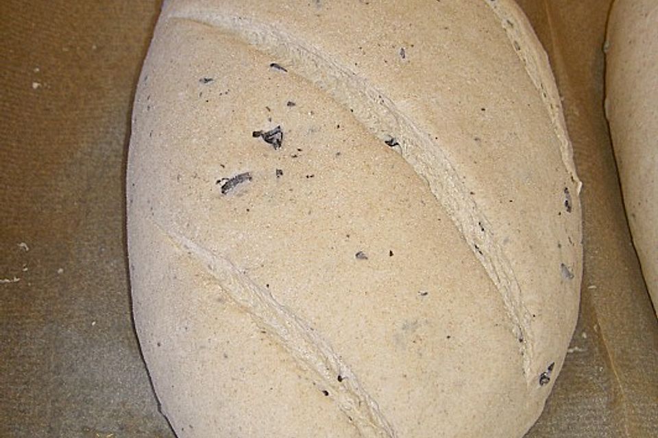 Algenbrot Algenbrot
