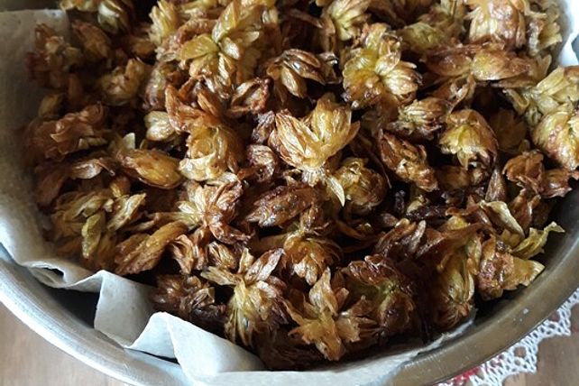 Gebackene Hopfensprossen von fletcher| Chefkoch
