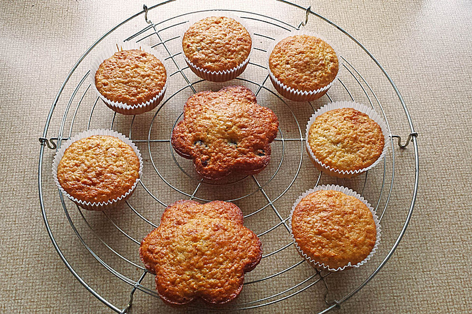 Muffins mit Haferflocken und Cranberries Muffins mit Haferflocken und Cranberries