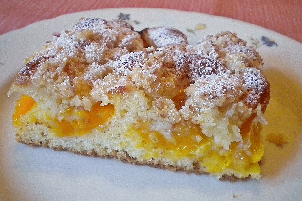 Marillenkuchen mit Kokosstreusel