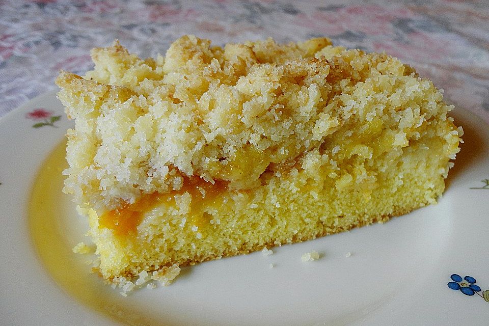 Marillenkuchen mit Kokosstreusel