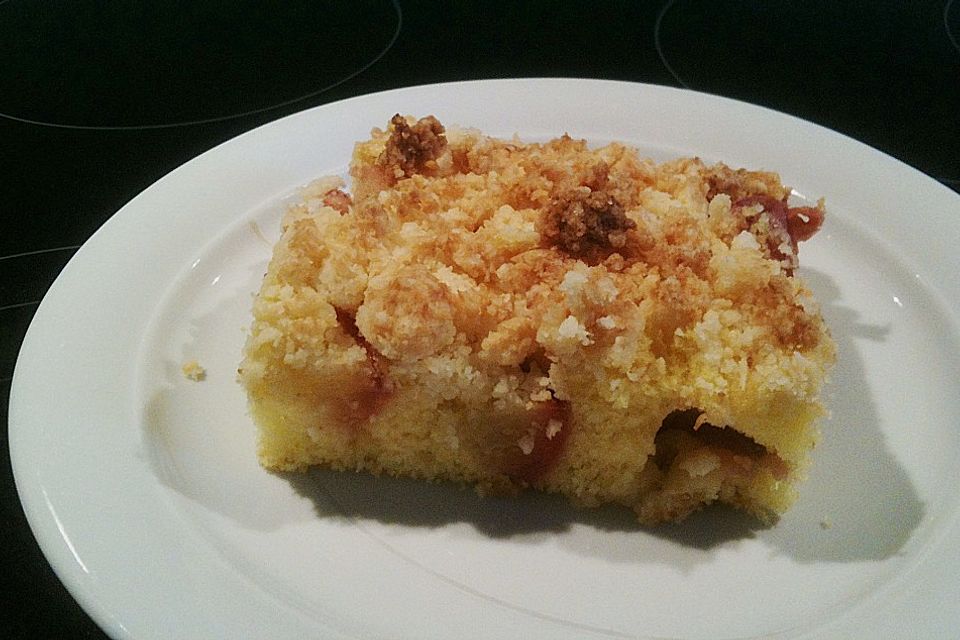 Marillenkuchen mit Kokosstreusel