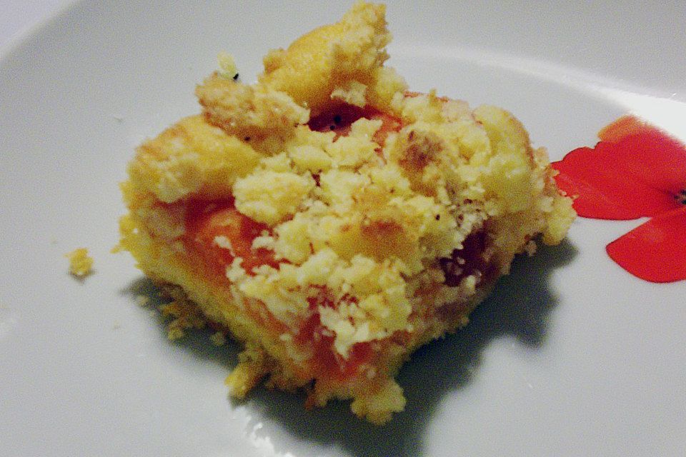 Marillenkuchen mit Kokosstreusel