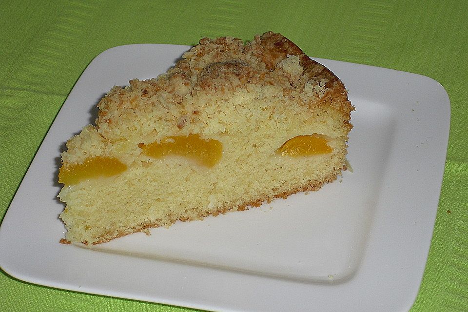 Marillenkuchen mit Kokosstreusel