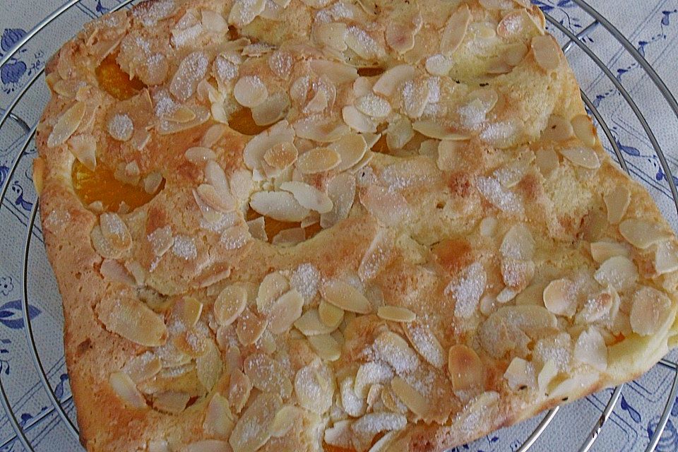 Altenburger Mandarinenkuchen